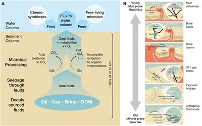 Editorial: Recent Advances in Natural Methane Seep and Gas Hydrate Systems